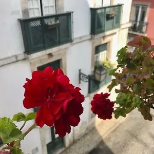In The Heart Of Apartment Lisbon